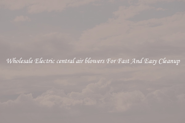 Wholesale Electric central air blowers For Fast And Easy Cleanup