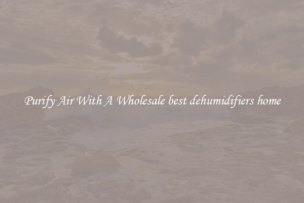 Purify Air With A Wholesale best dehumidifiers home