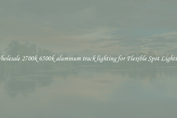 Wholesale 2700k 6500k aluminum track lighting for Flexible Spot Lighting