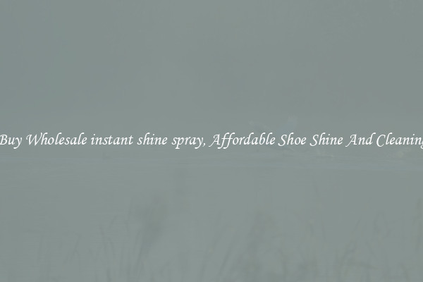 Buy Wholesale instant shine spray, Affordable Shoe Shine And Cleaning