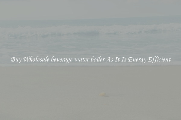 Buy Wholesale beverage water boiler As It Is Energy Efficient