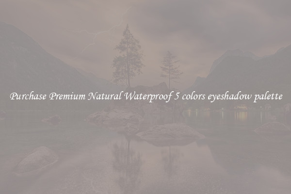 Purchase Premium Natural Waterproof 5 colors eyeshadow palette