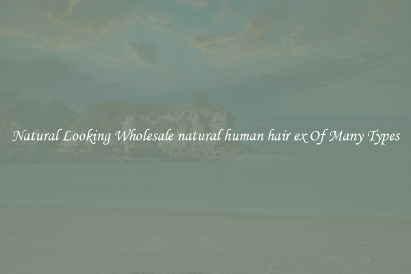 Natural Looking Wholesale natural human hair ex Of Many Types