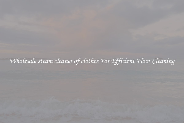Wholesale steam cleaner of clothes For Efficient Floor Cleaning