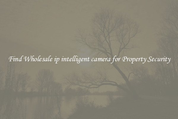 Find Wholesale ip intelligent camera for Property Security