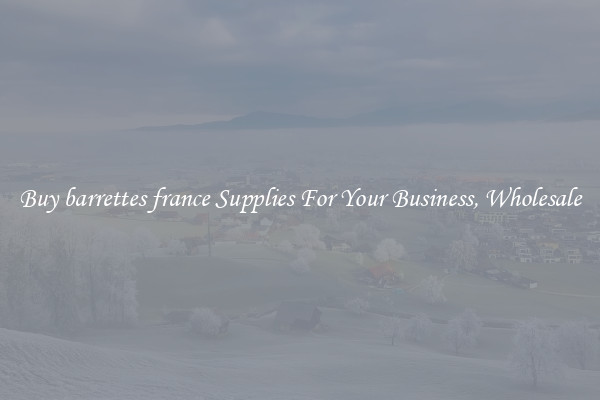 Buy barrettes france Supplies For Your Business, Wholesale