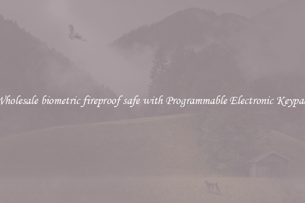 Wholesale biometric fireproof safe with Programmable Electronic Keypad 