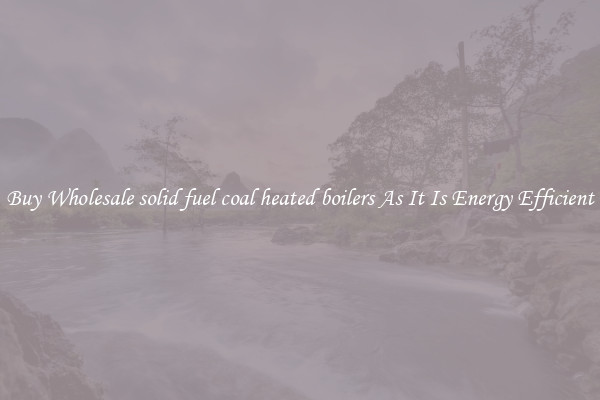 Buy Wholesale solid fuel coal heated boilers As It Is Energy Efficient