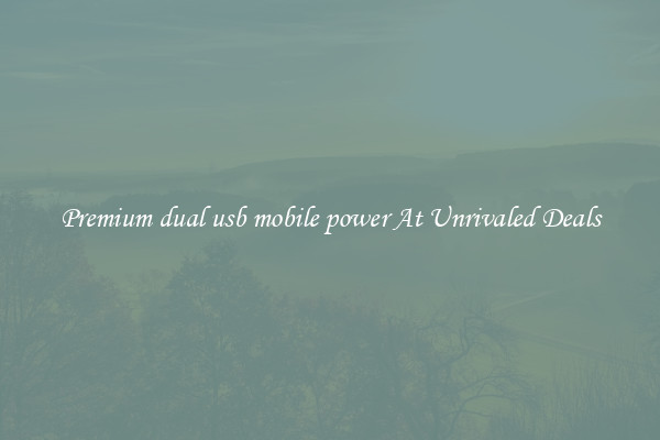 Premium dual usb mobile power At Unrivaled Deals