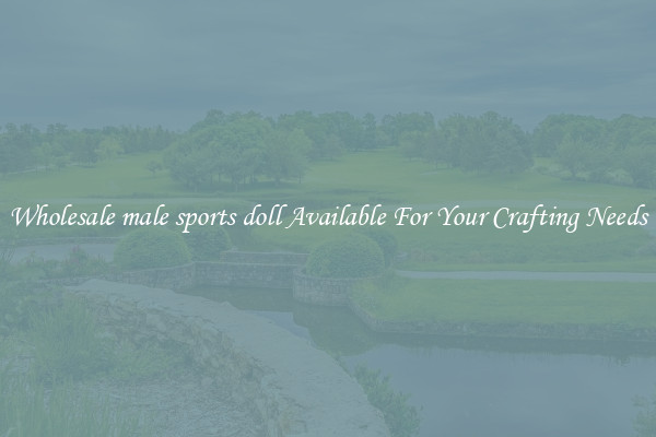 Wholesale male sports doll Available For Your Crafting Needs