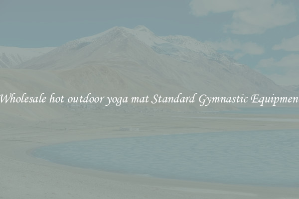 Wholesale hot outdoor yoga mat Standard Gymnastic Equipment