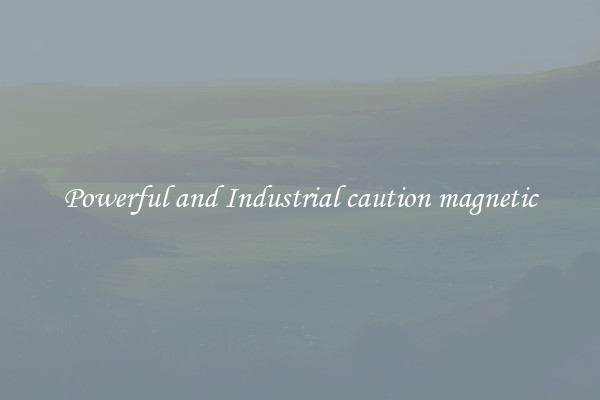 Powerful and Industrial caution magnetic