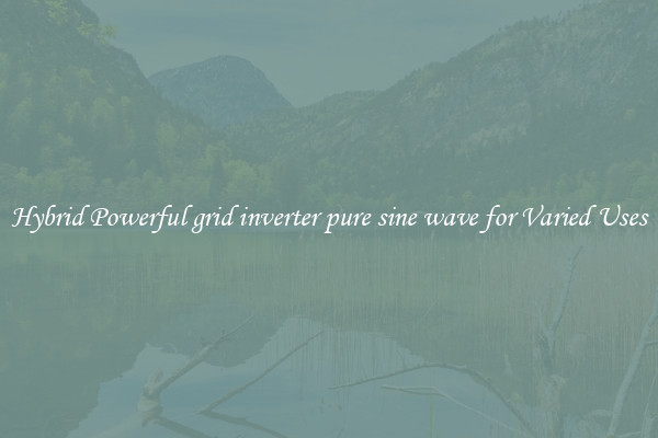 Hybrid Powerful grid inverter pure sine wave for Varied Uses