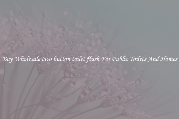 Buy Wholesale two button toilet flush For Public Toilets And Homes