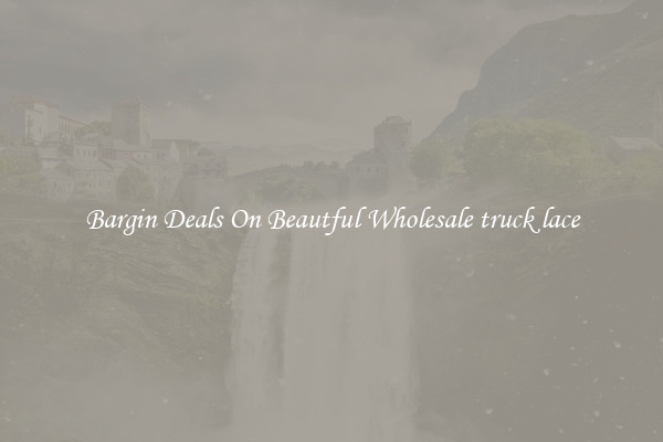 Bargin Deals On Beautful Wholesale truck lace