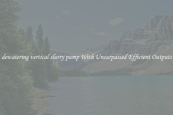 dewatering vertical slurry pump With Unsurpassed Efficient Outputs