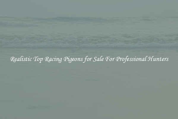 Realistic Top Racing Pigeons for Sale For Professional Hunters