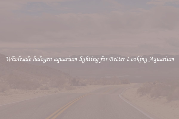 Wholesale halogen aquarium lighting for Better Looking Aquarium