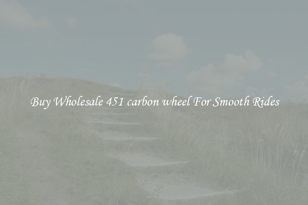 Buy Wholesale 451 carbon wheel For Smooth Rides