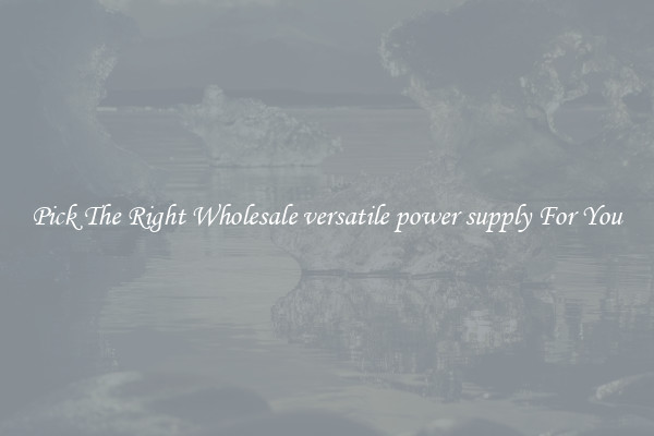 Pick The Right Wholesale versatile power supply For You