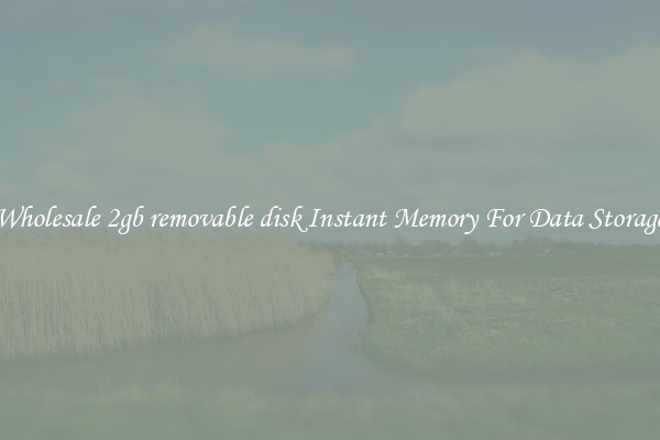 Wholesale 2gb removable disk Instant Memory For Data Storage