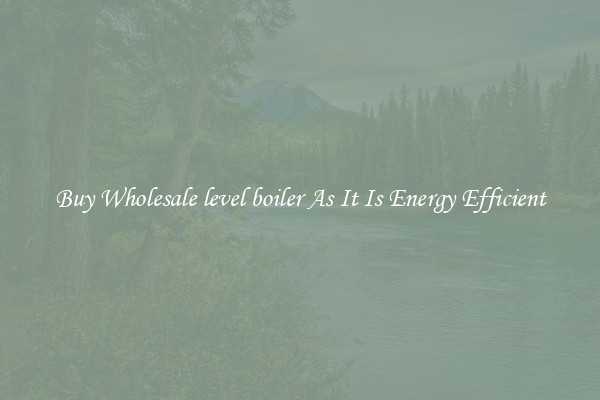 Buy Wholesale level boiler As It Is Energy Efficient